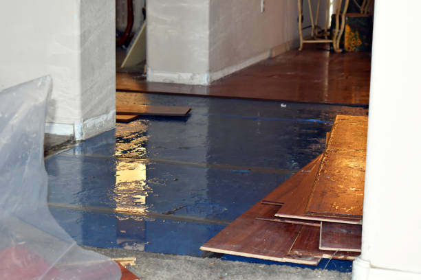 Professional Basement Flood Cleanup technician working in Farmington, NH